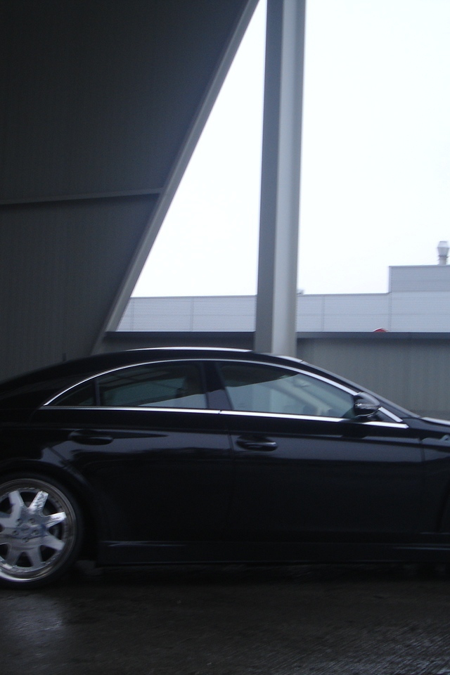 Asma Tavan 2013 в городе