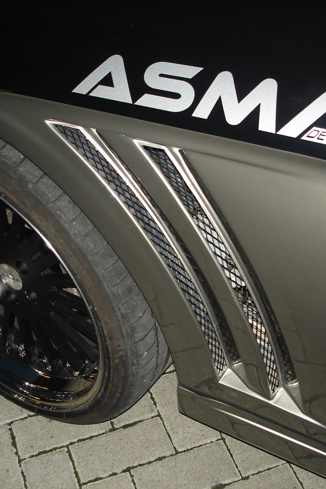 Черная Asma Tavan 2013