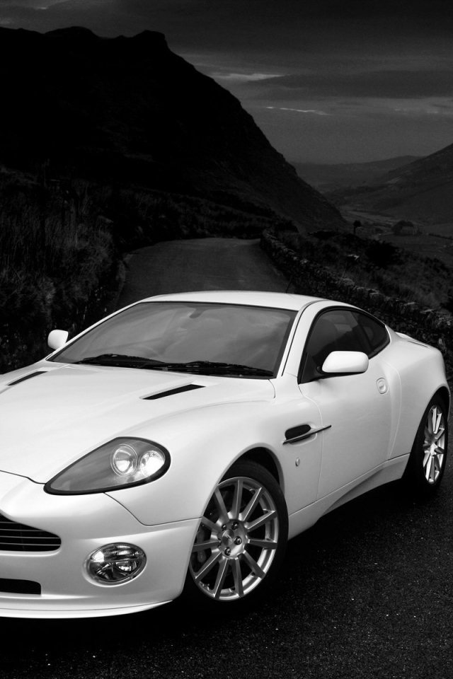 Тест драйв автомобиля Aston Martin v12