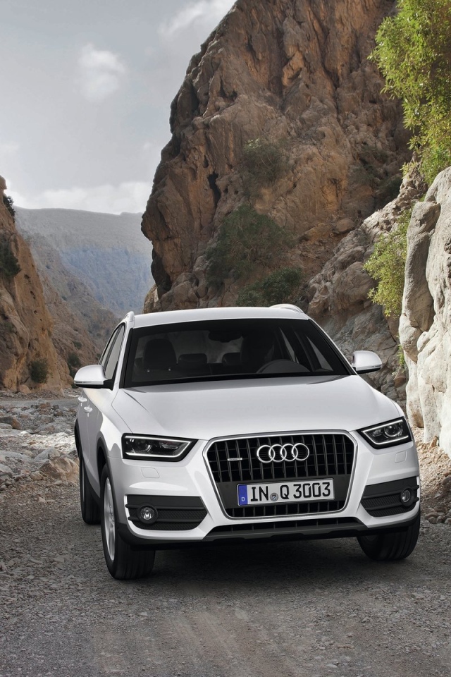 Великолепный Audi Q3