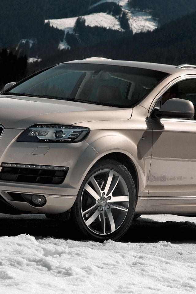 Покоритель горных дорог Audi Q7