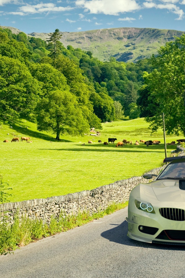 Автомобиль BMW на поле