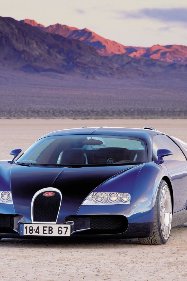 Bugatti Veyron supersport 16.4 на природе
