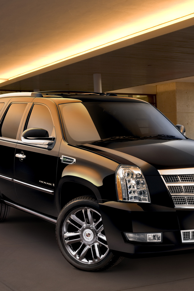 Домашний зверь Cadillac Escalade 2014