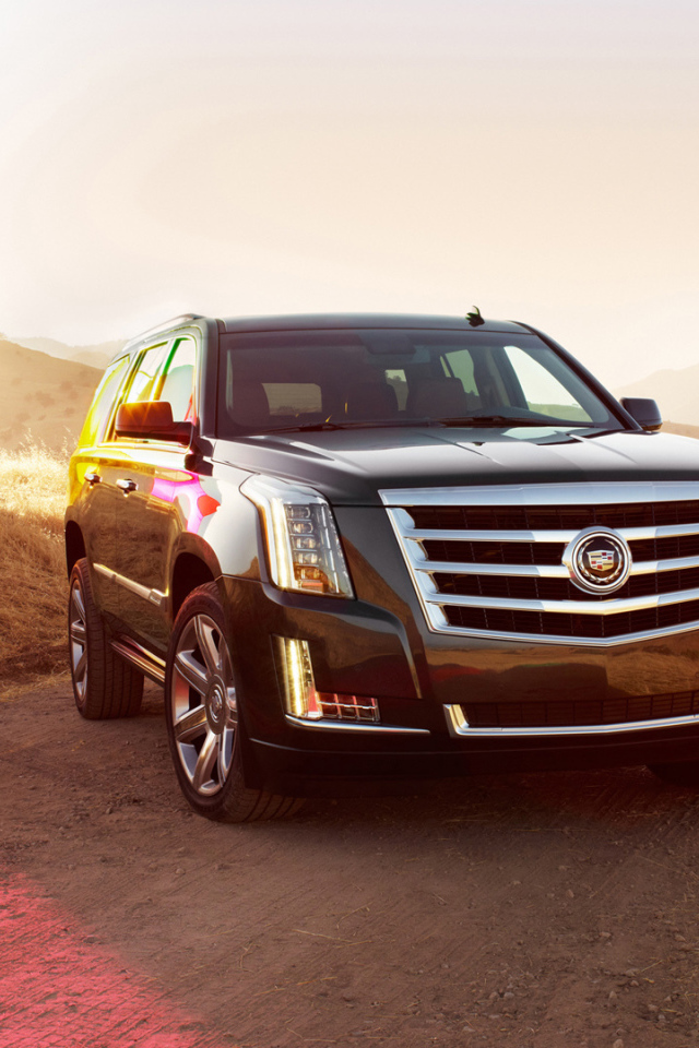 Путешественник Cadillac Escalade 2014