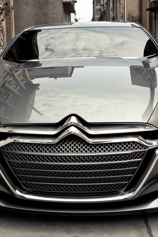 Современный Citroen metropolis