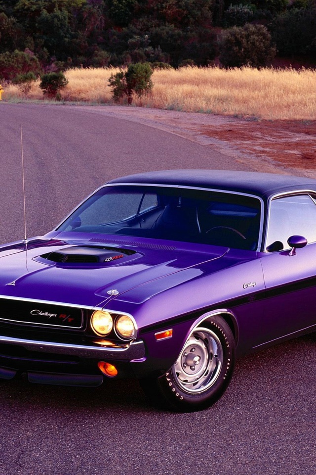 Путешественник Dodge Challenger