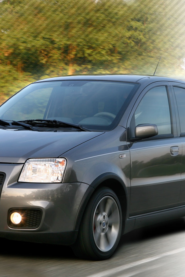 Автомобиль марки Fiat модели Panda