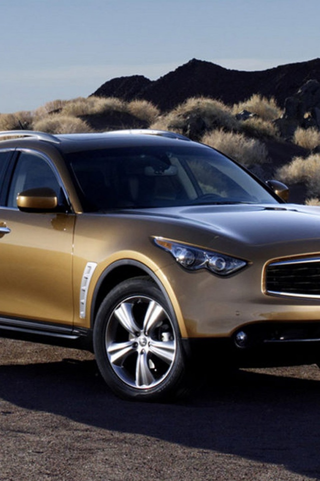 Infiniti FX35 на природе