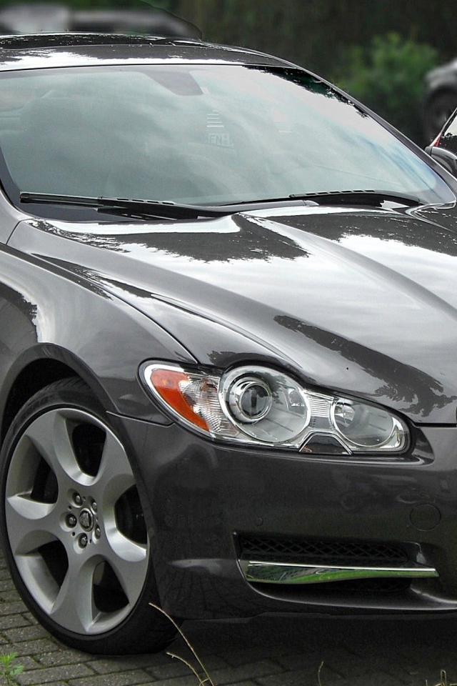 Черный Jaguar XF