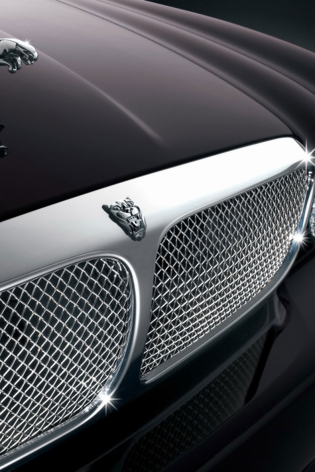 Передок Ягуара