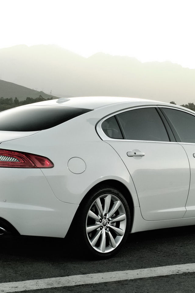 Белый Jaguar XF