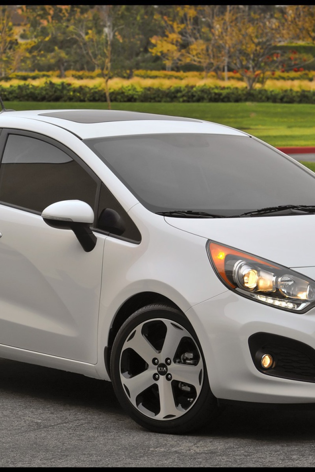 Красивый автомобиль Kia  Rio в Москве