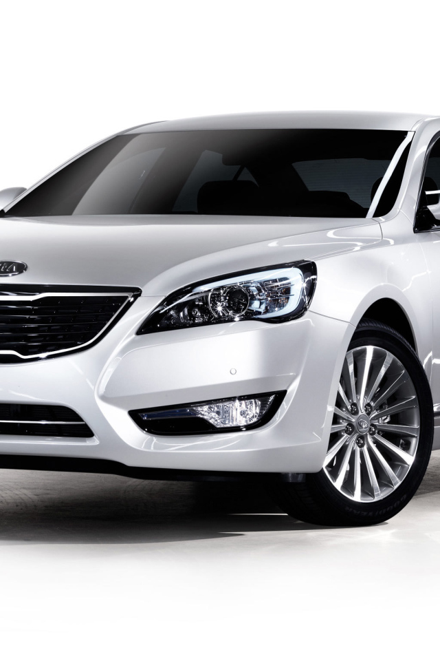 Тест драйв автомобиля Kia Cadenza 2014 года