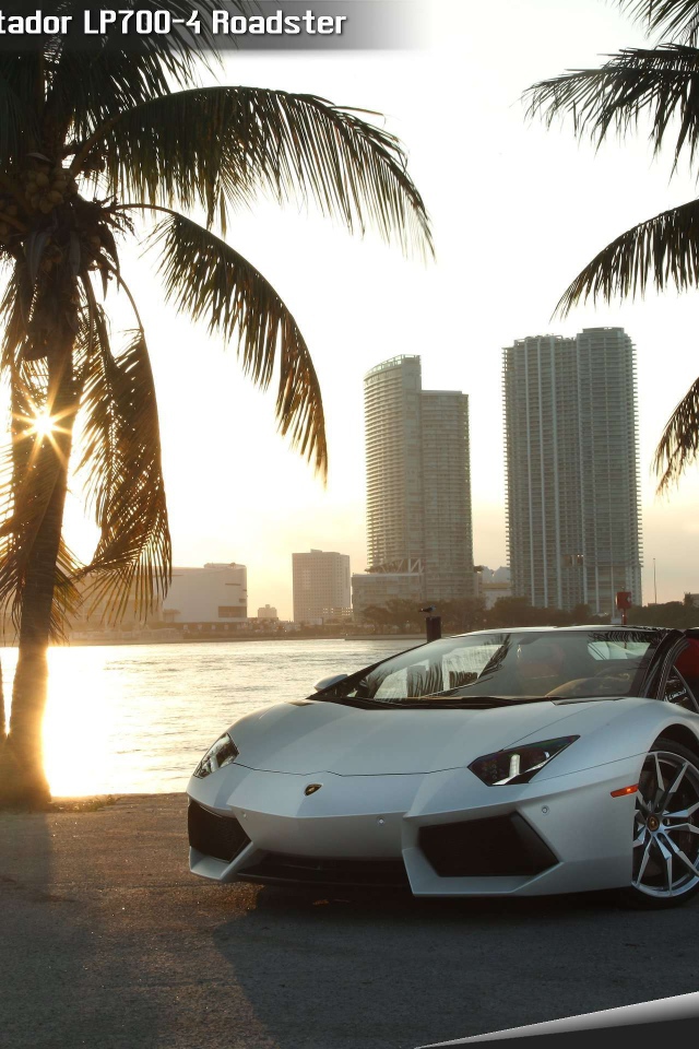 Автомобиль Lamborghini Avendator 2014 на дороге