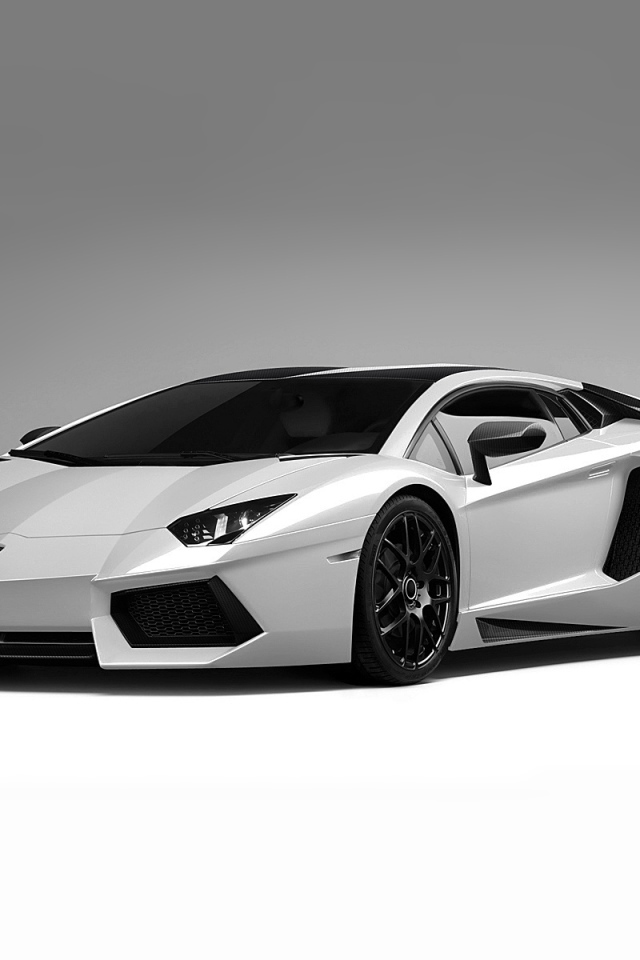 Белый Lamborghini aventador