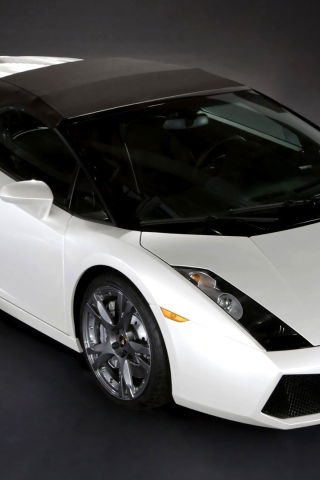 Черно белый Lamborghini 