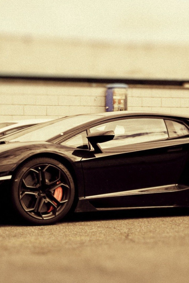 Test drive the car Lamborghini Aventador 