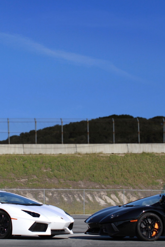 Белый и черный ламборджини