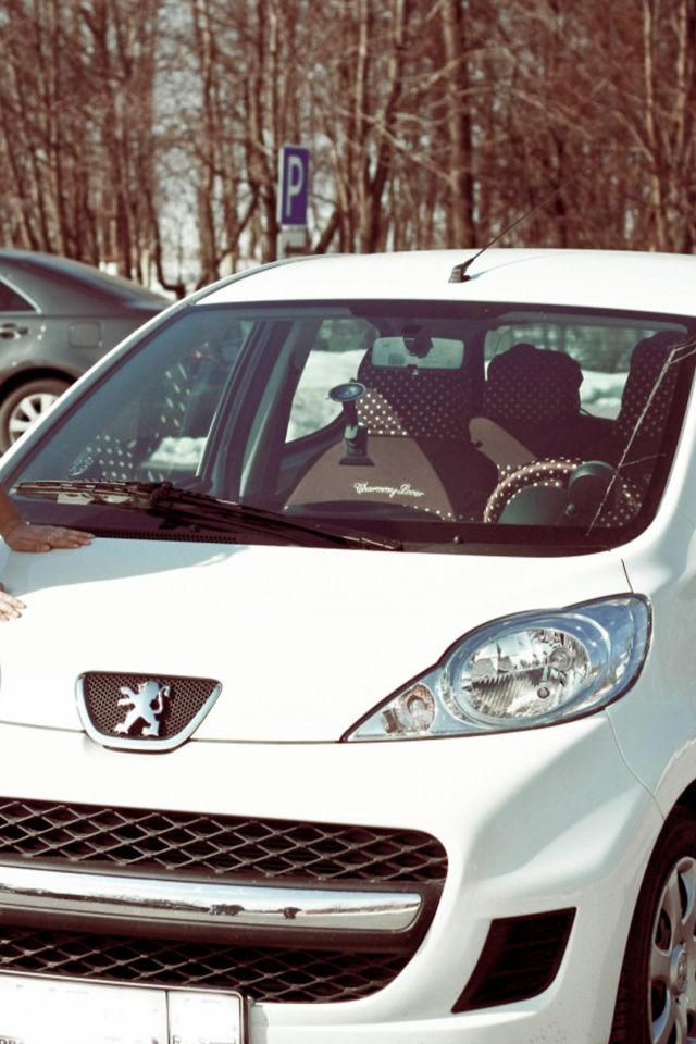 Фото автомобиля Peugeot 6008 2014 