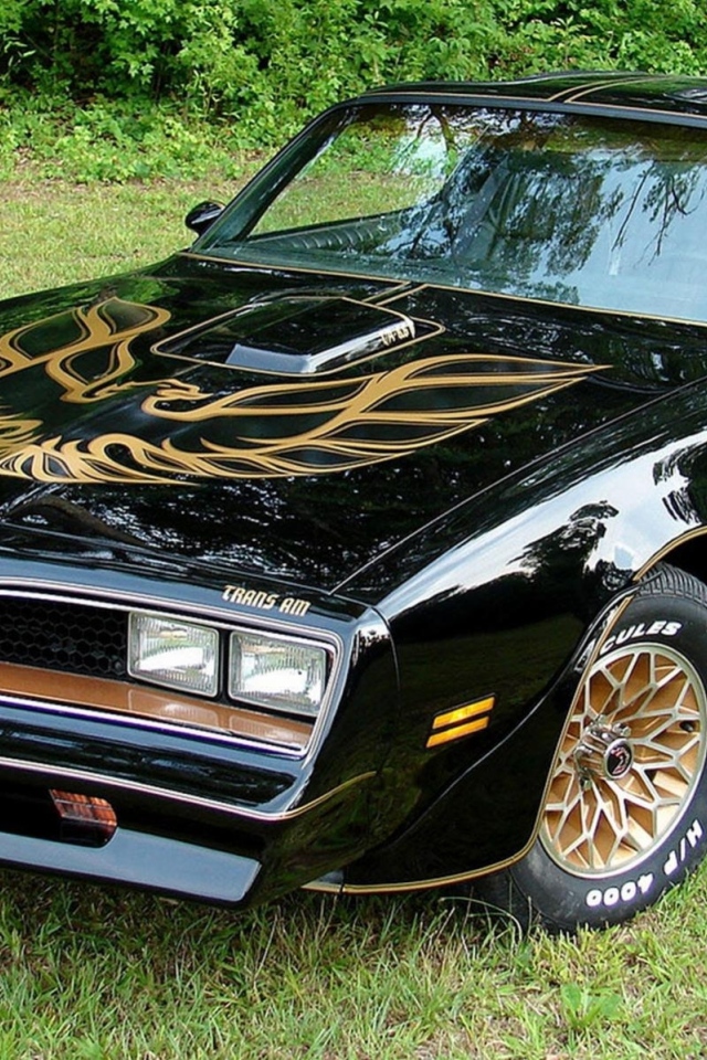 Автомобиль марки Pontiac модели Firebird