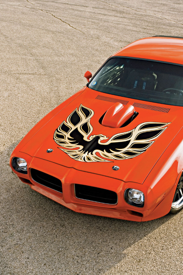 Автомобиль Pontiac Trans Am на дороге