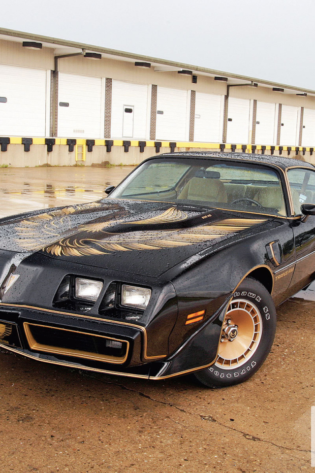 Надежная машина Pontiac Trans Am