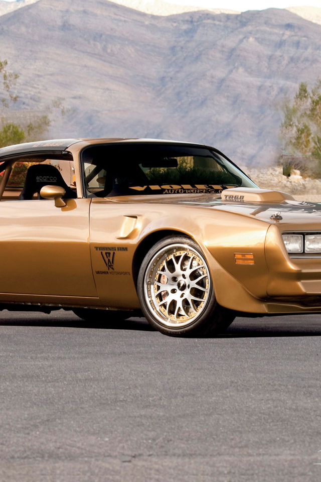 Тест драйв автомобиля Pontiac Trans Am