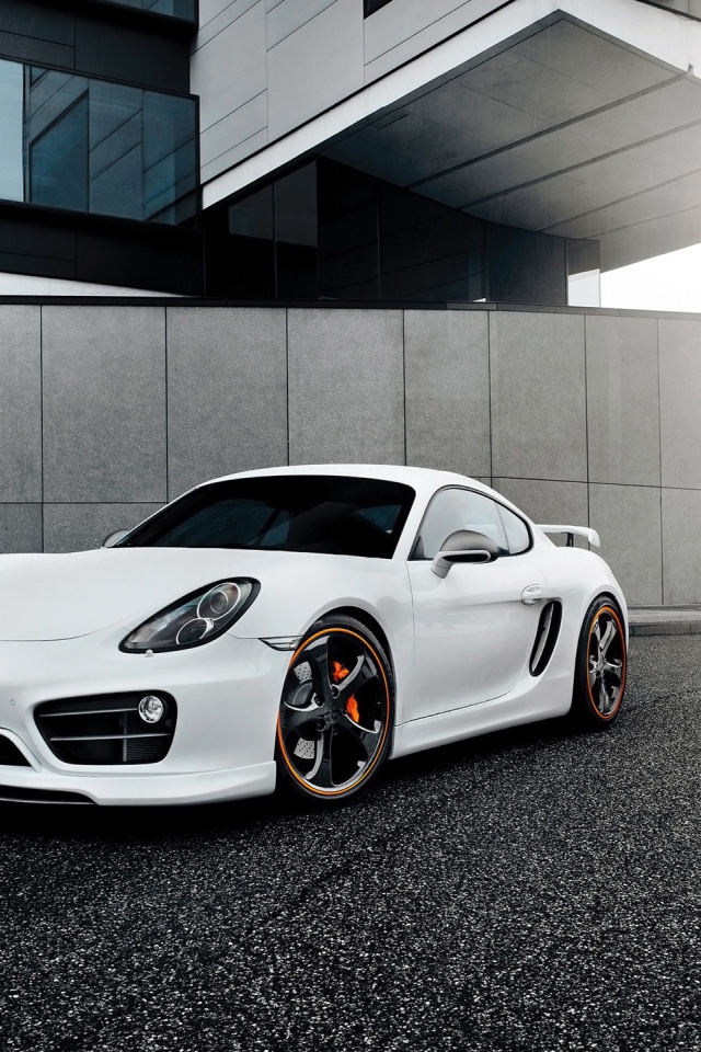 Techart Porsche Cayman 2014 год