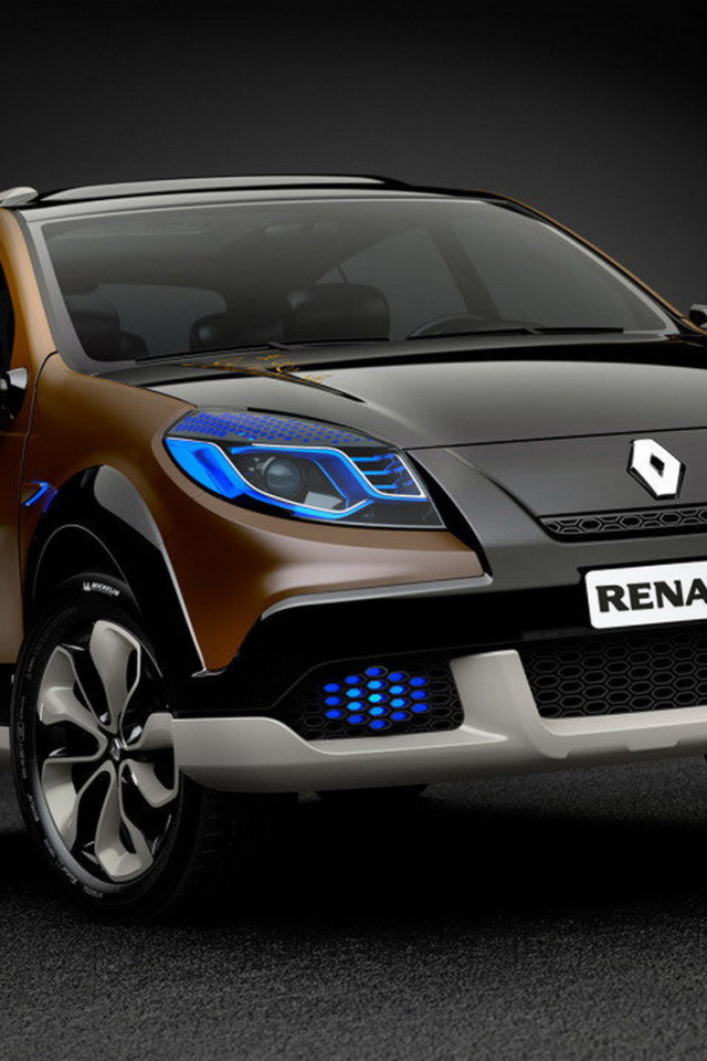 Красивый автомобиль Renault Sandero в Москве