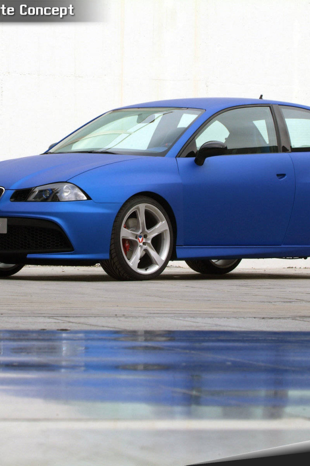 Красивый автомобиль Seat Ibiza в Москве