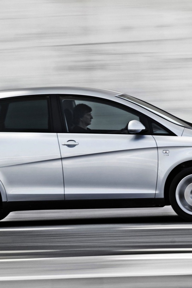  Красивый автомобиль Seat Altea в Москве