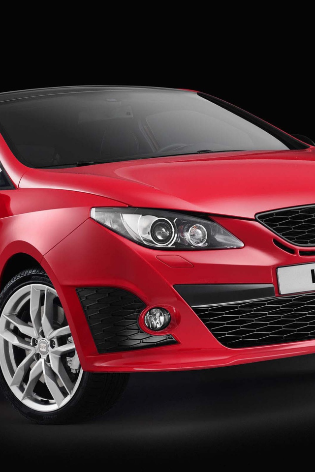 Красивый автомобиль Seat Ibiza