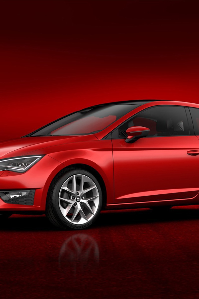 Красивый автомобиль Seat Leon 2014 в Москве