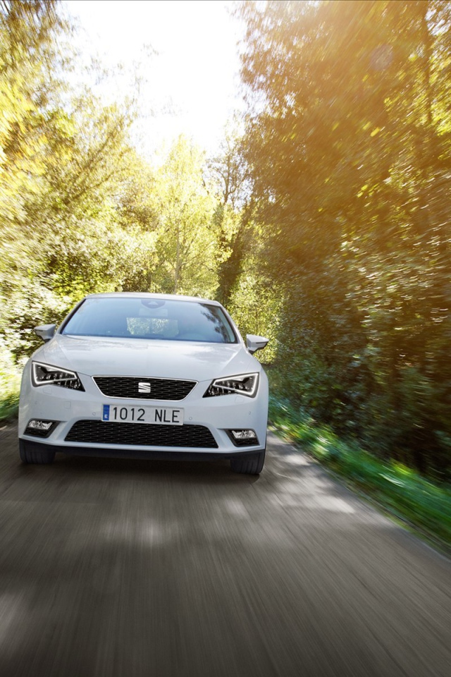 Автомобиль Seat leon на дороге
