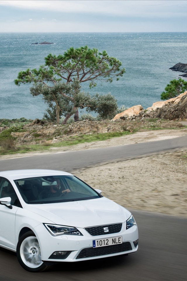  Надежный автомобиль Seat leon