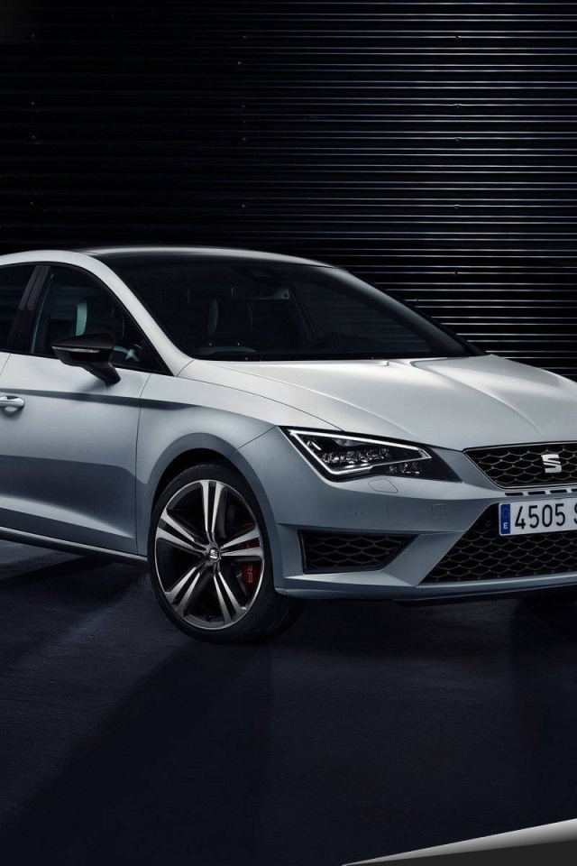 Надежная машина Seat Leon Cupra 2014