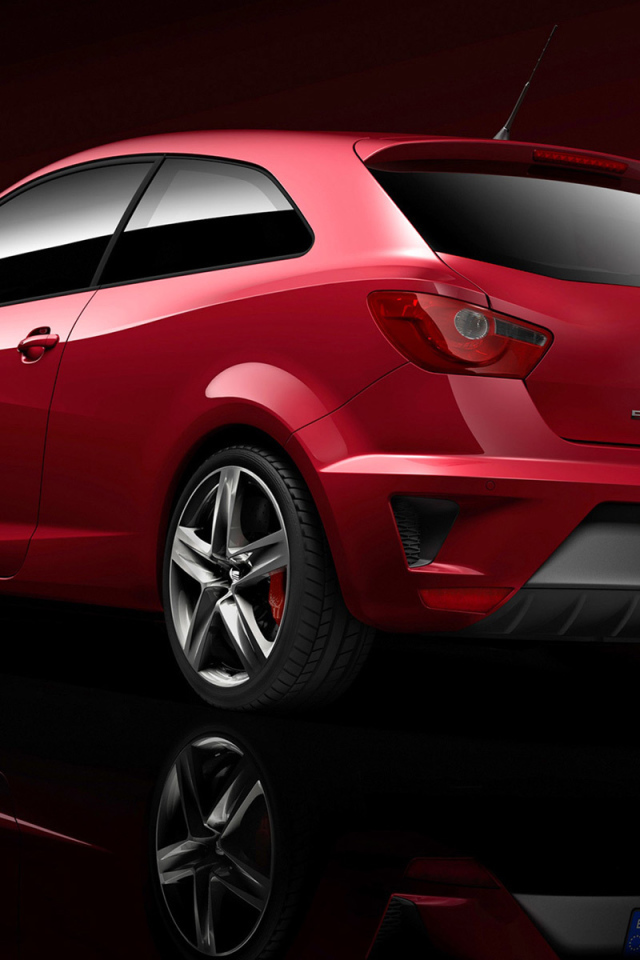 Автомобиль Seat Ibiza на дороге