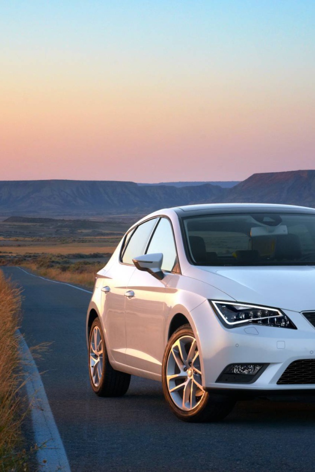 Надежная машина Seat leon