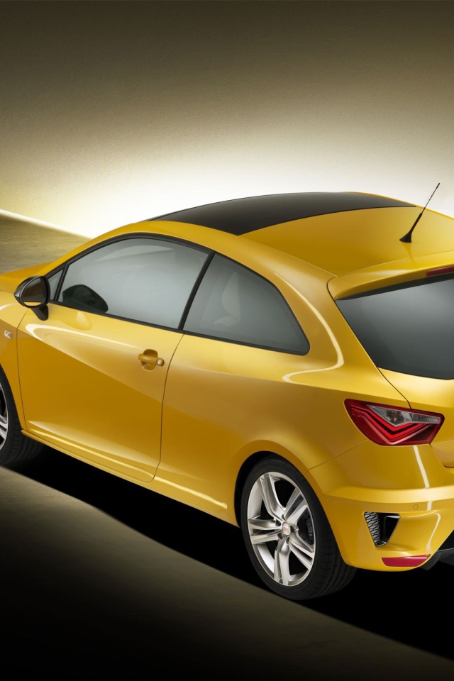 Тест драйв автомобиля Seat Ibiza