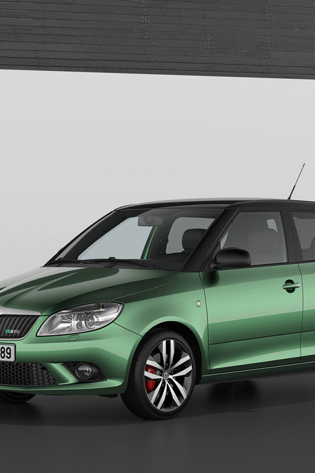 Красивый автомобиль Skoda Fabia