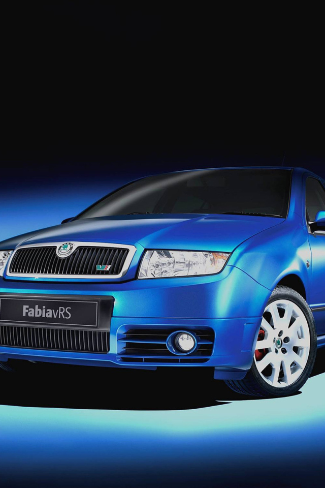 Красивый автомобиль Skoda Fabia в Москве
