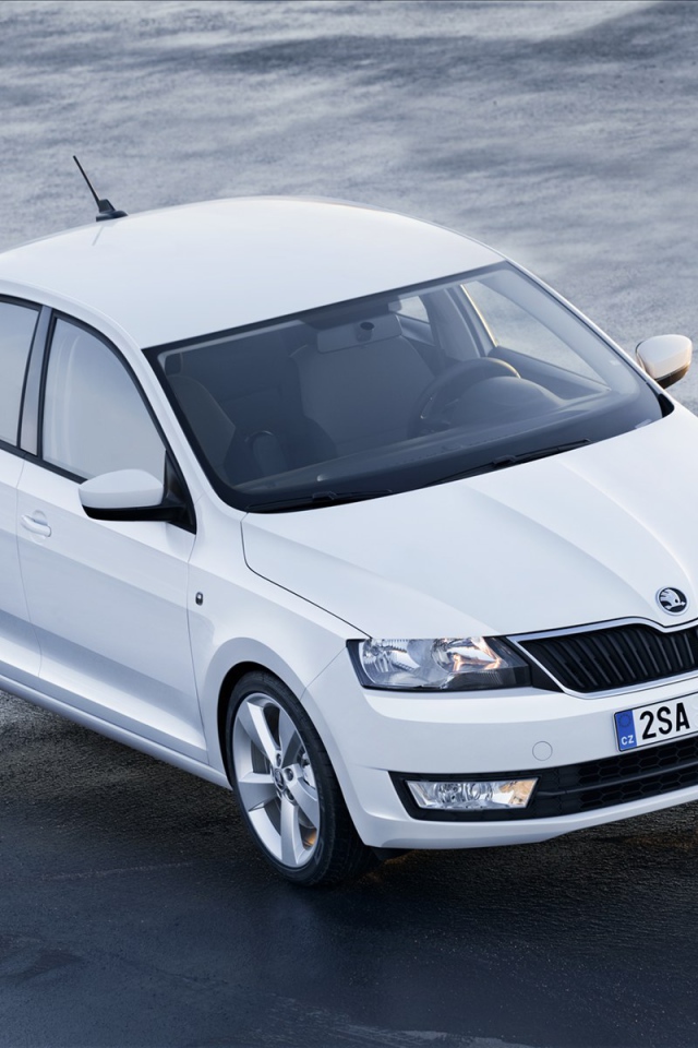 Красивый автомобиль Skoda Rapid в Москве