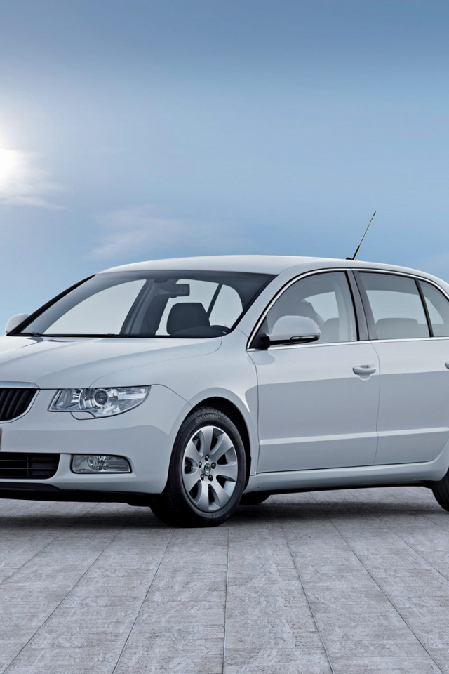 Красивый автомобиль Skoda SuperB в Москве