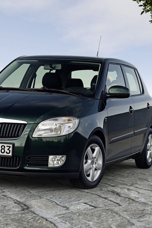 Автомобиль марки Skoda модели Fabia