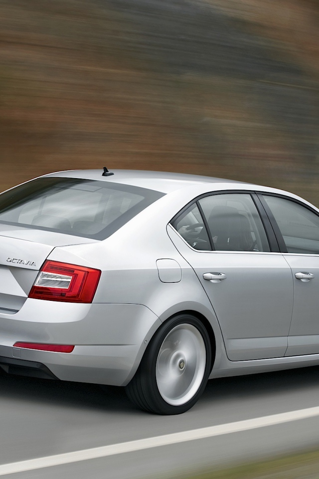 Фото автомобиля Skoda Octavia 2013