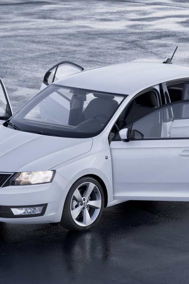 Надежный автомобиль Skoda Rapid