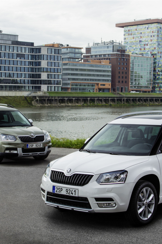 Автомобиль Skoda Yeti 2014 на дороге
