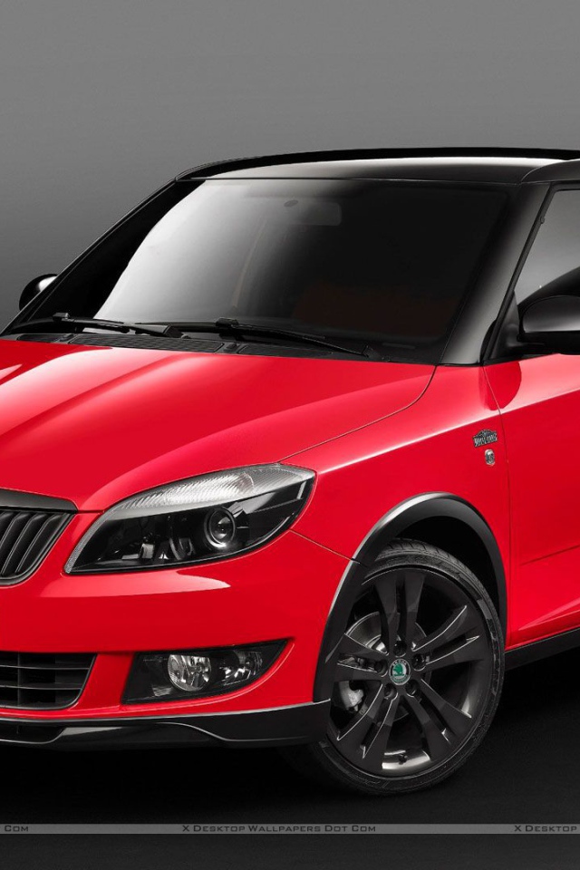 Тест драйв автомобиля Skoda Fabia