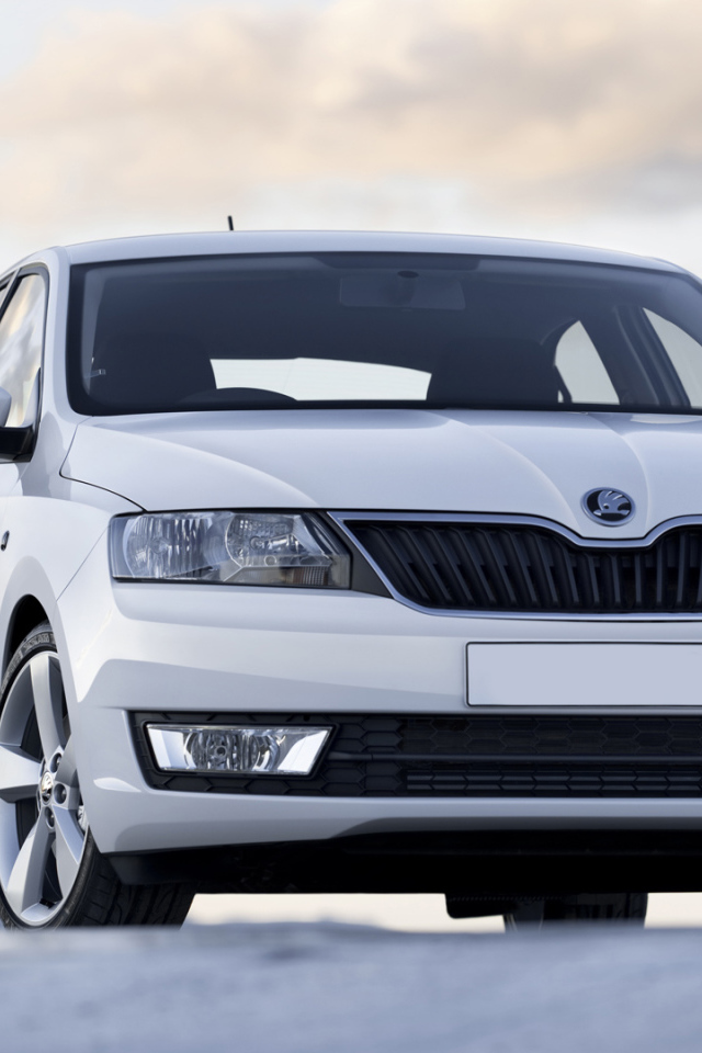 Тест драйв автомобиля Skoda Rapid